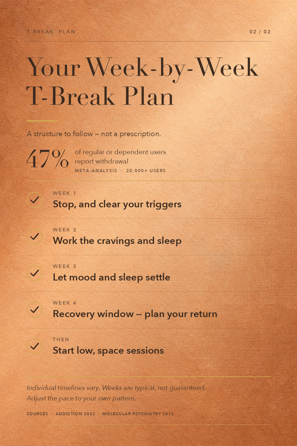 Infographic 2