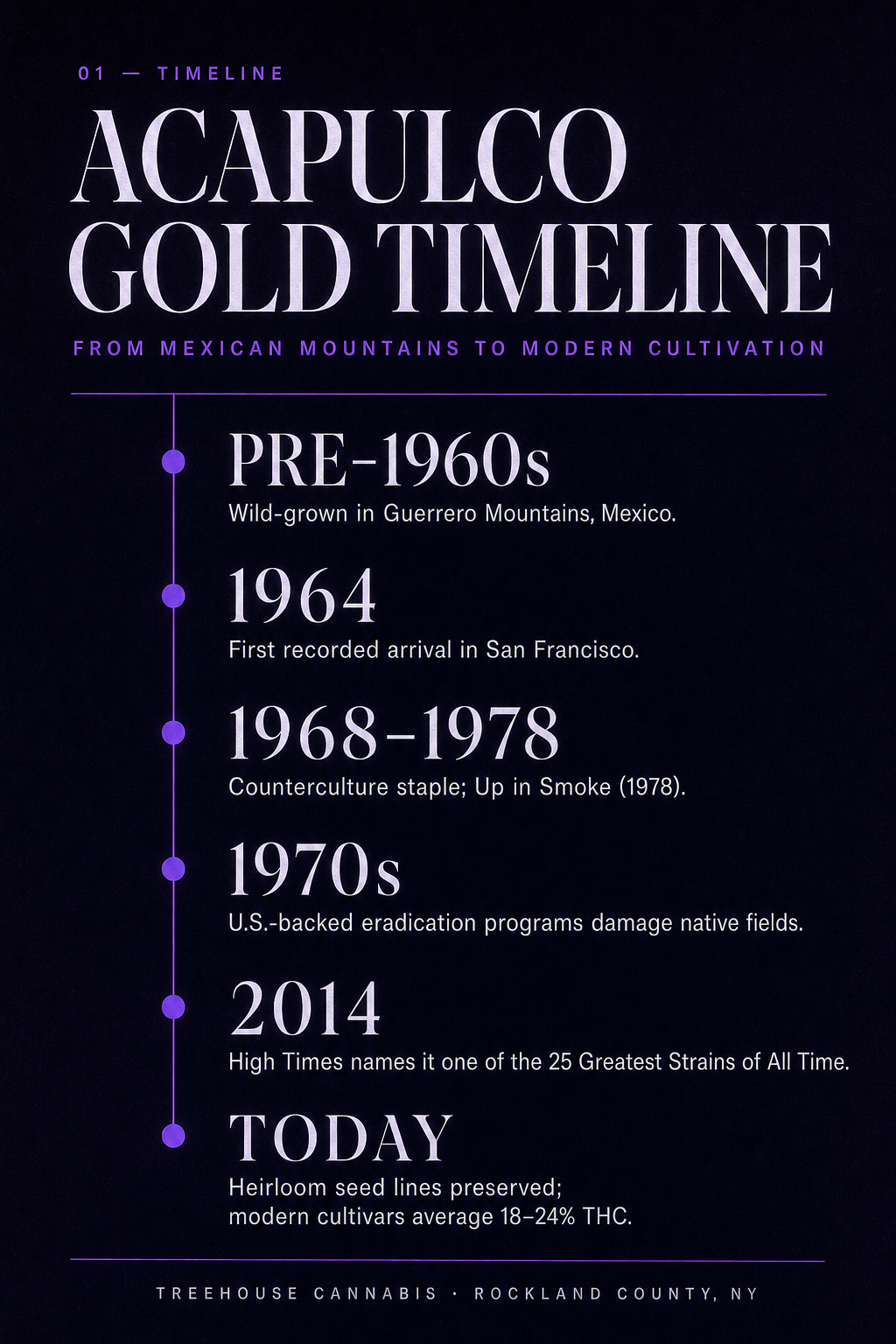 Infographic 1
