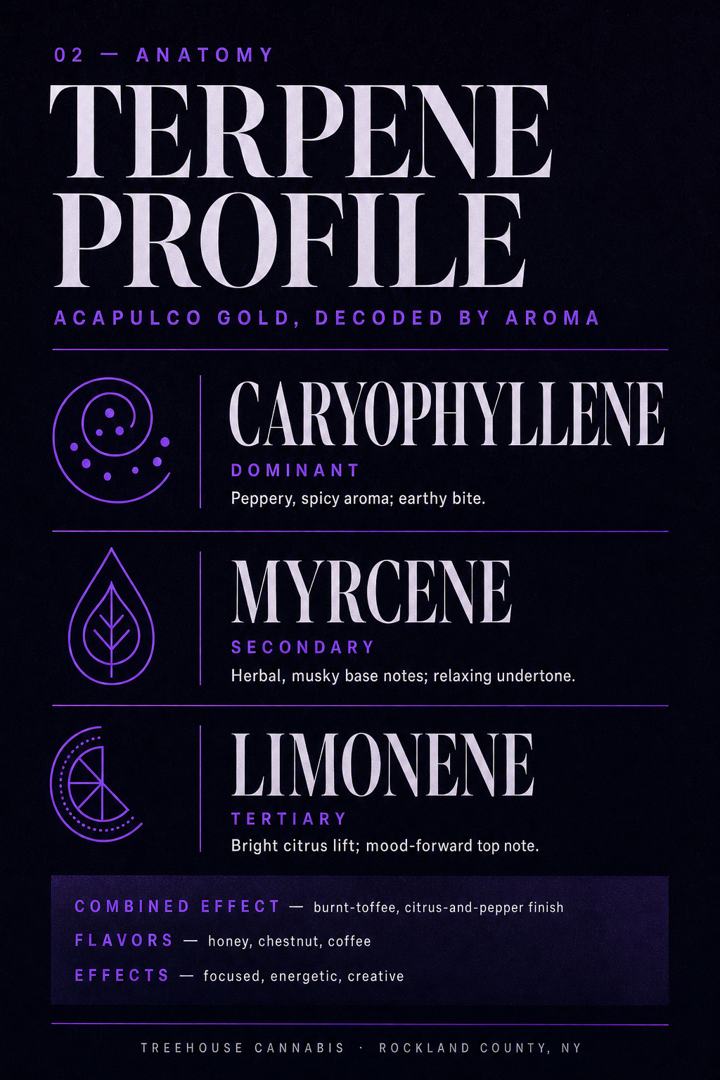 Infographic 2