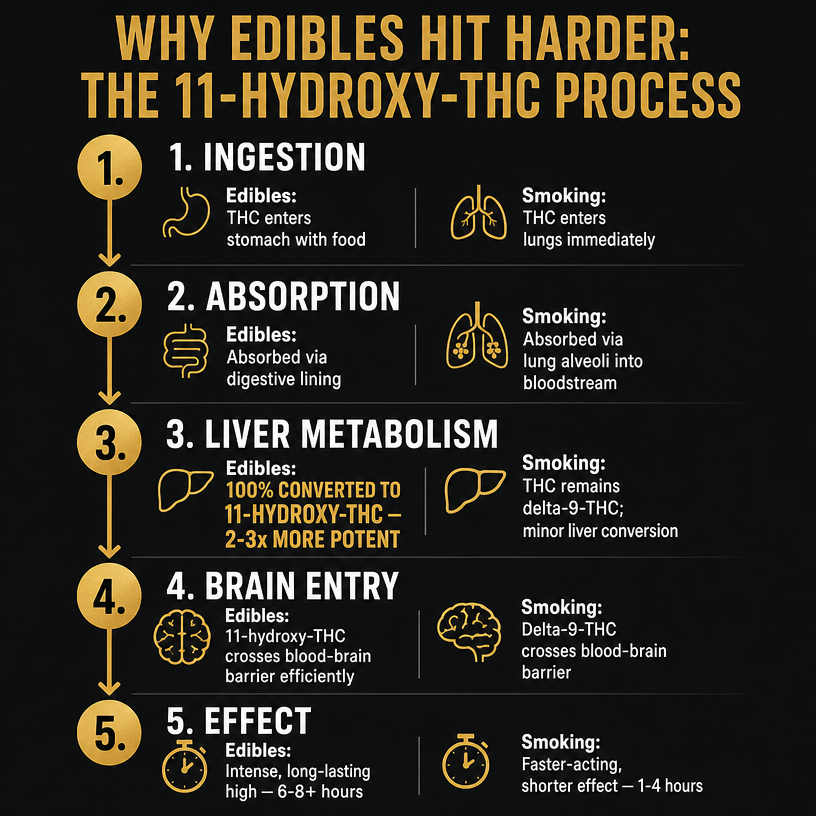 Infographic 2