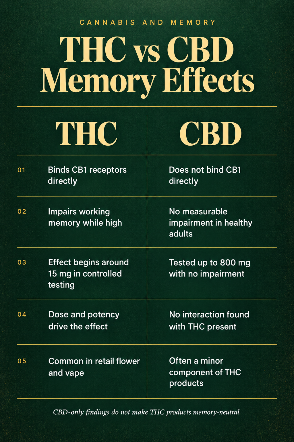 Infographic 2