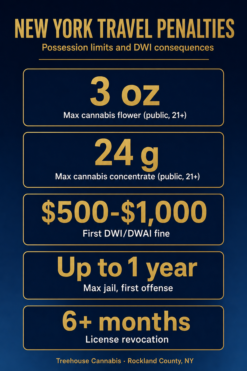 Infographic 2