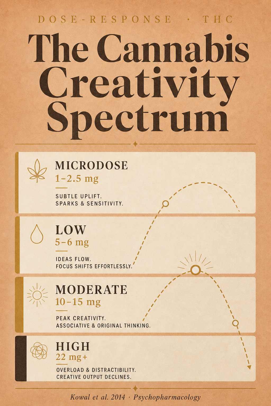 Infographic 1