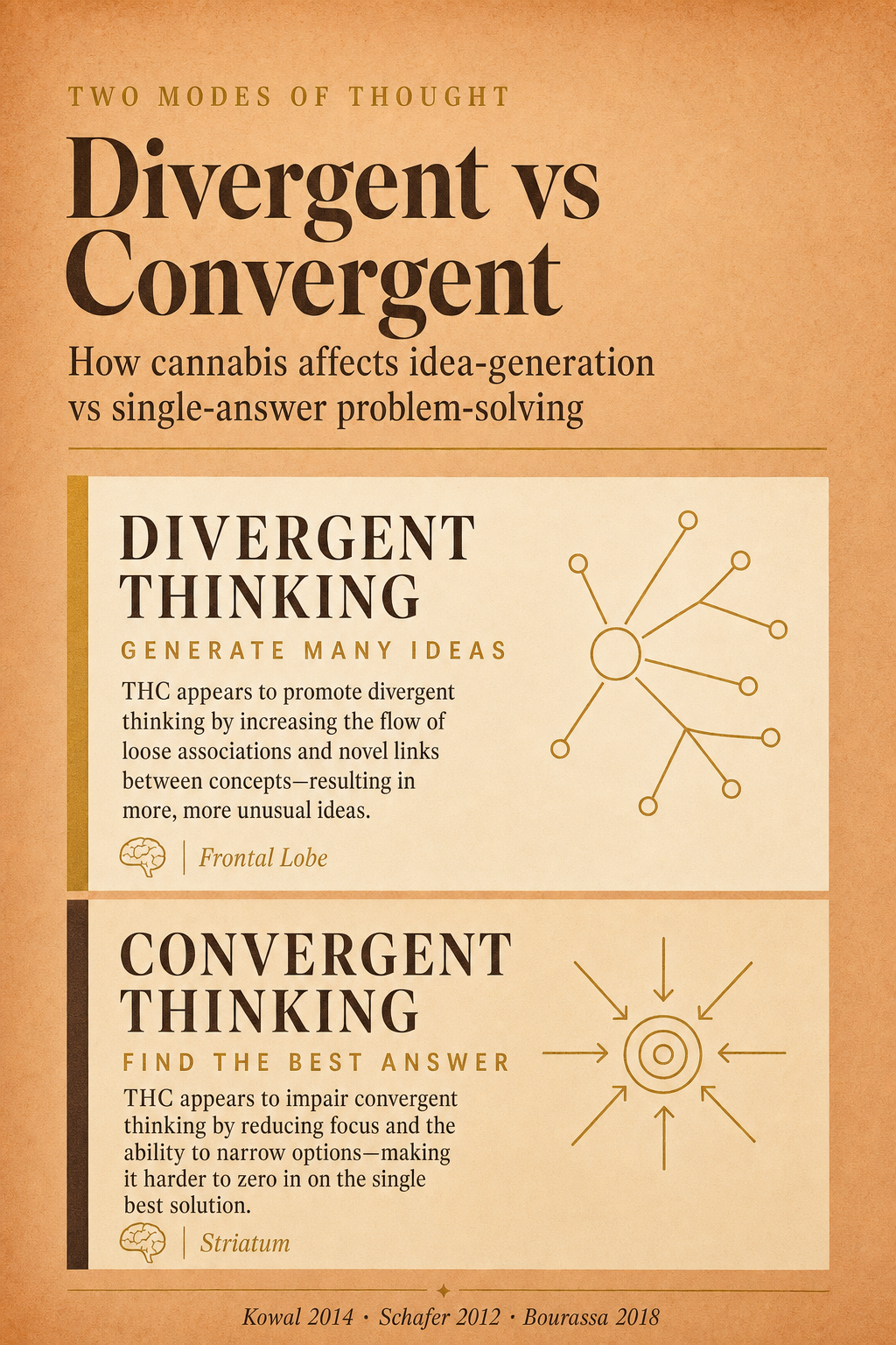 Infographic 2