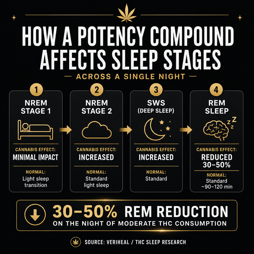 Infographic 1
