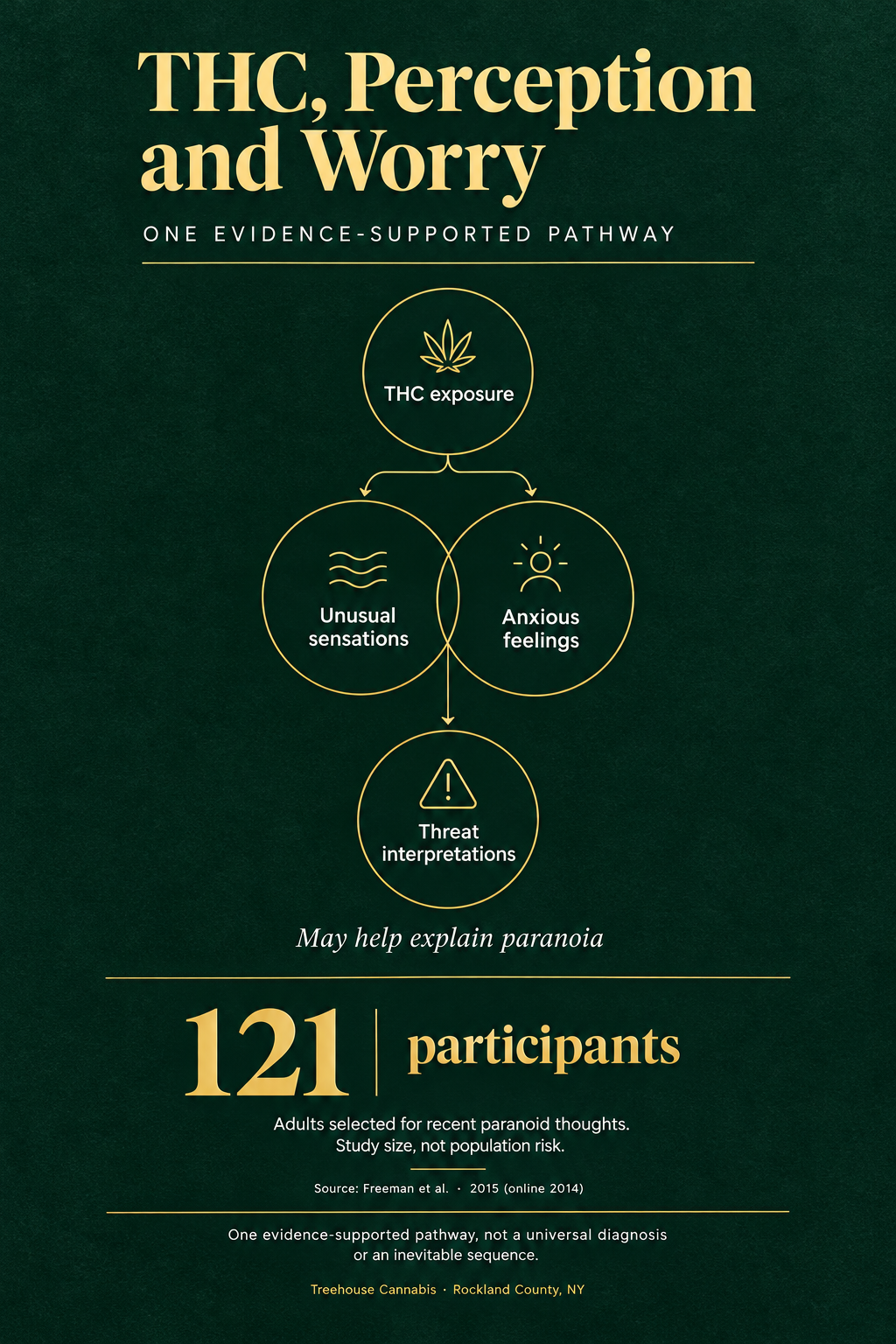 Infographic 1