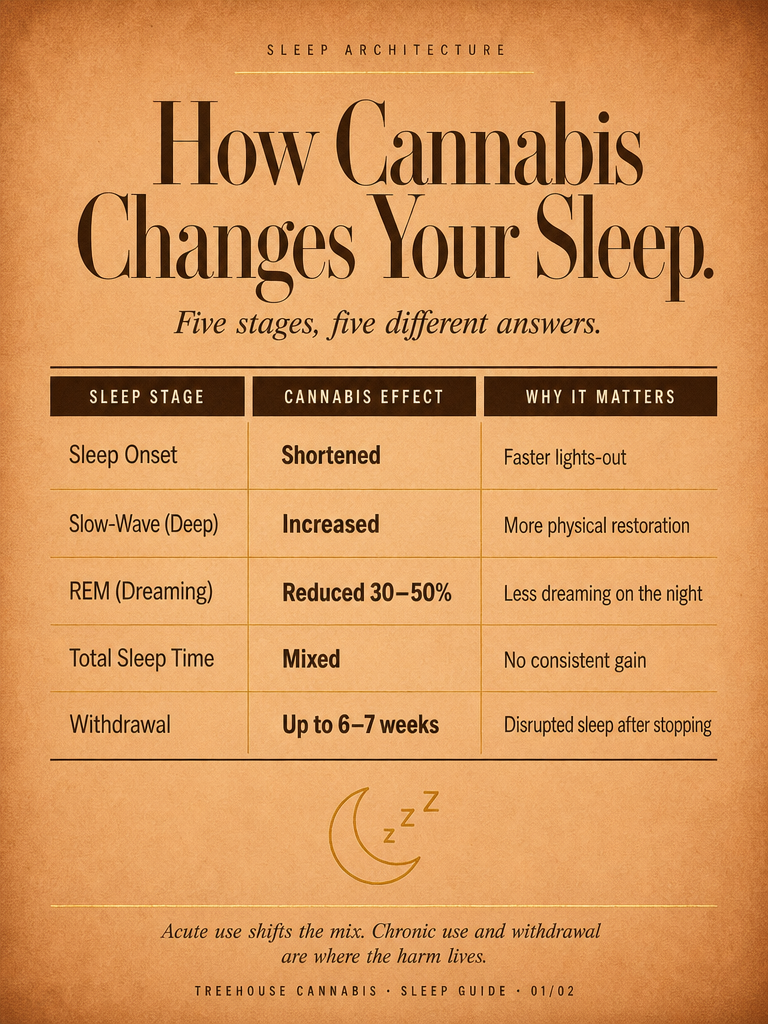 Infographic 1