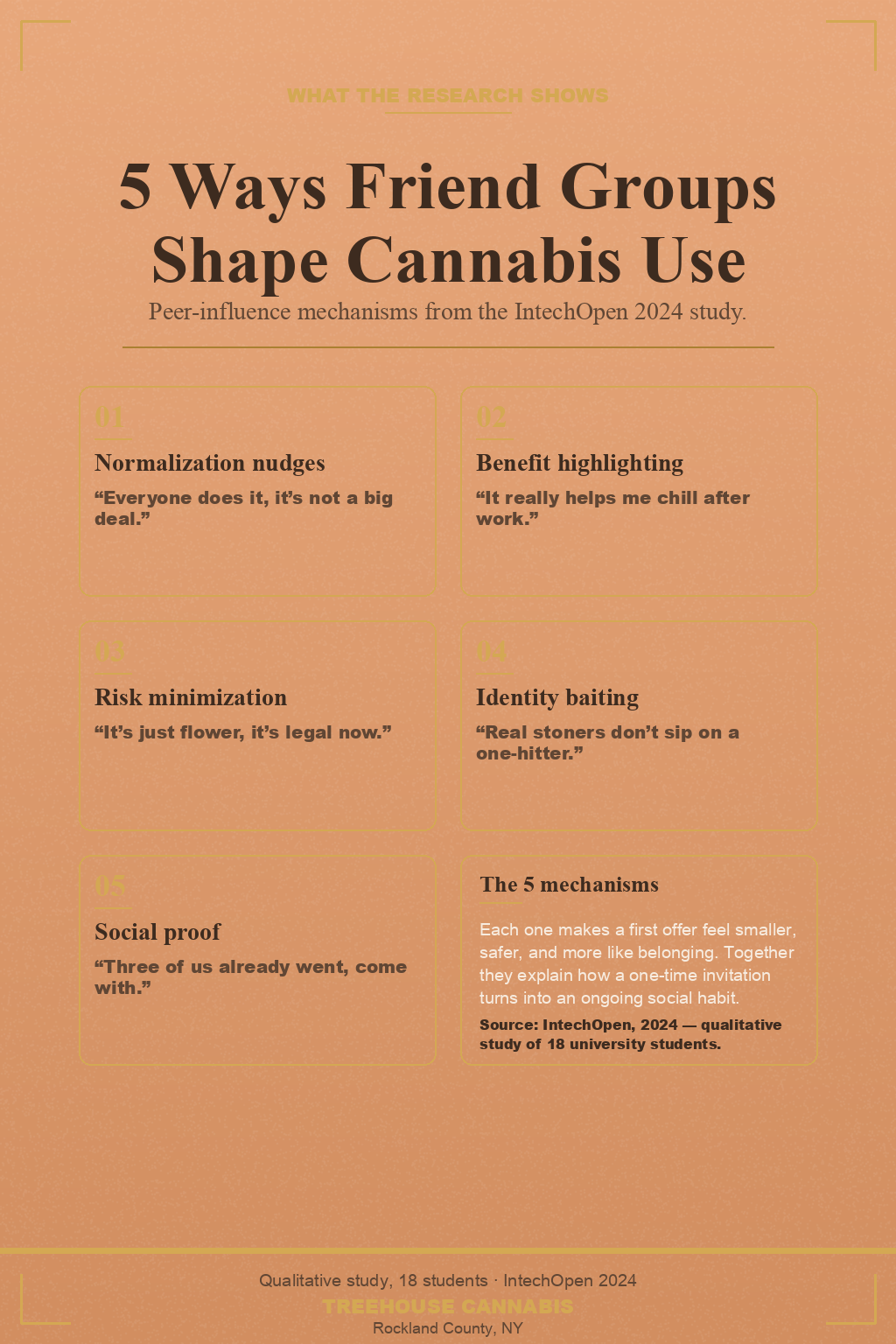 Infographic 2