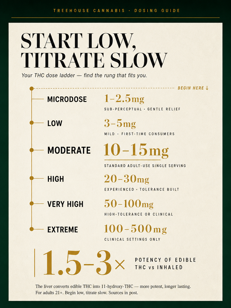 Infographic 2
