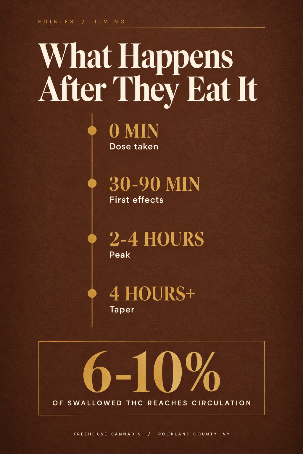 Infographic 2