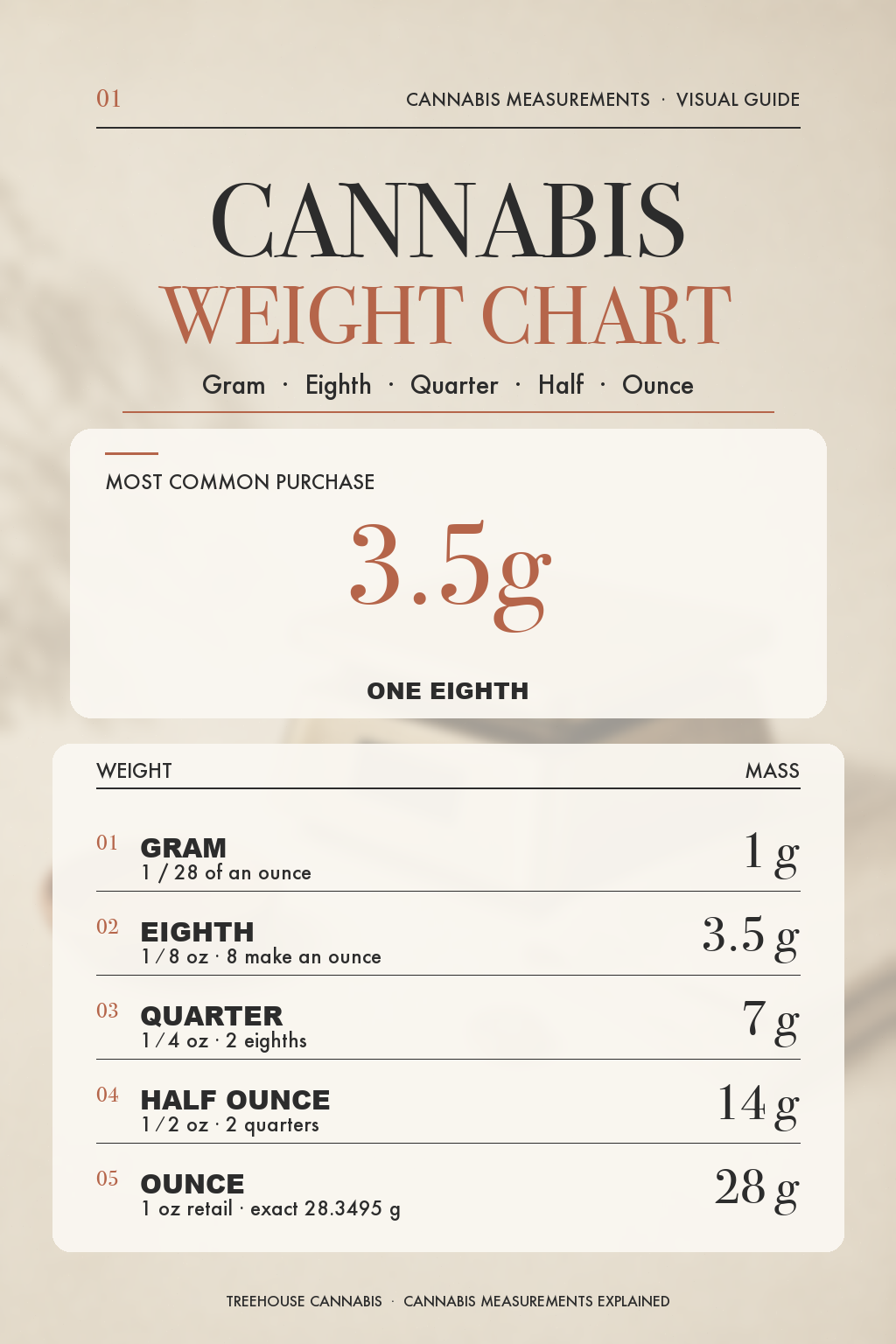 Infographic 1