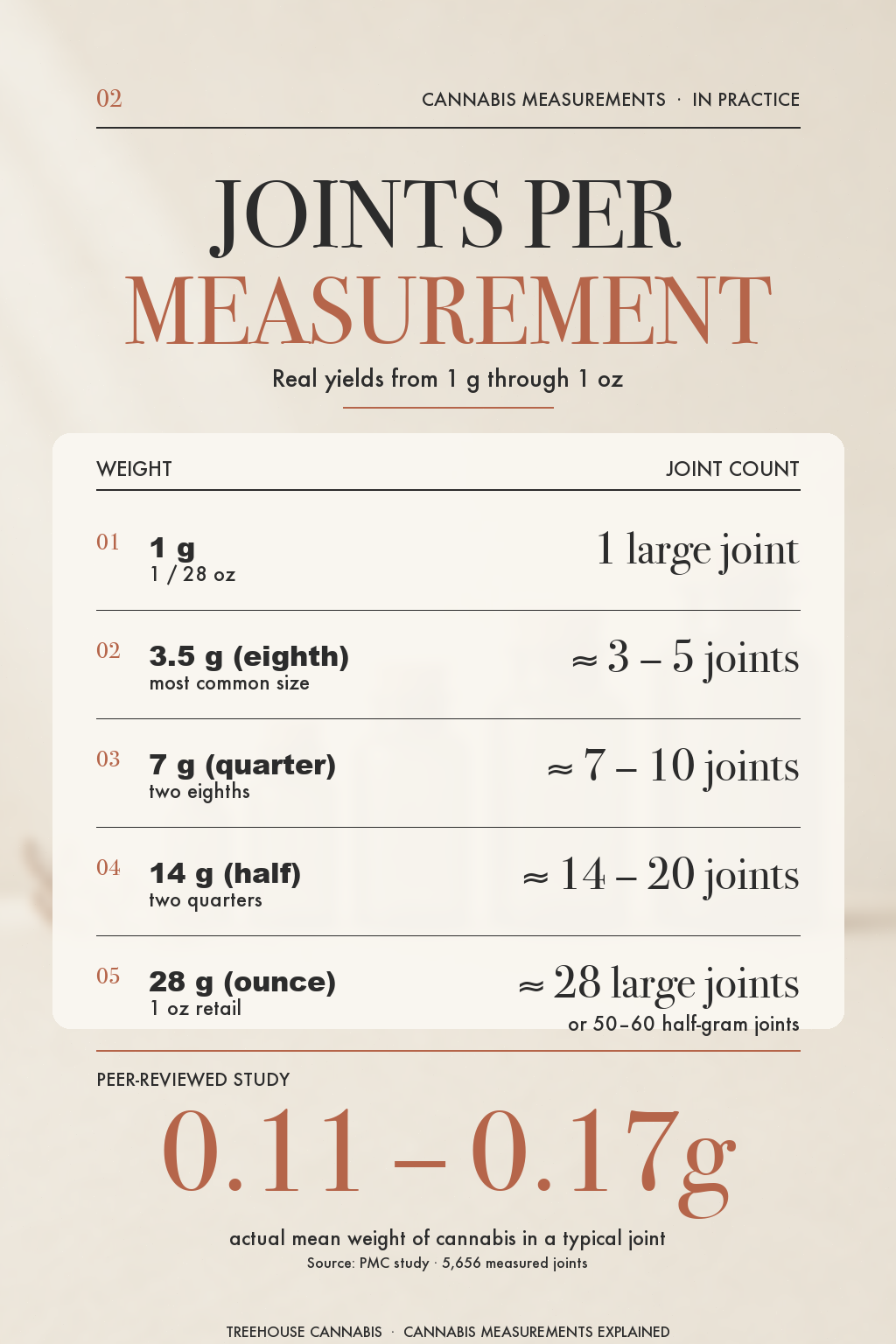 Infographic 2