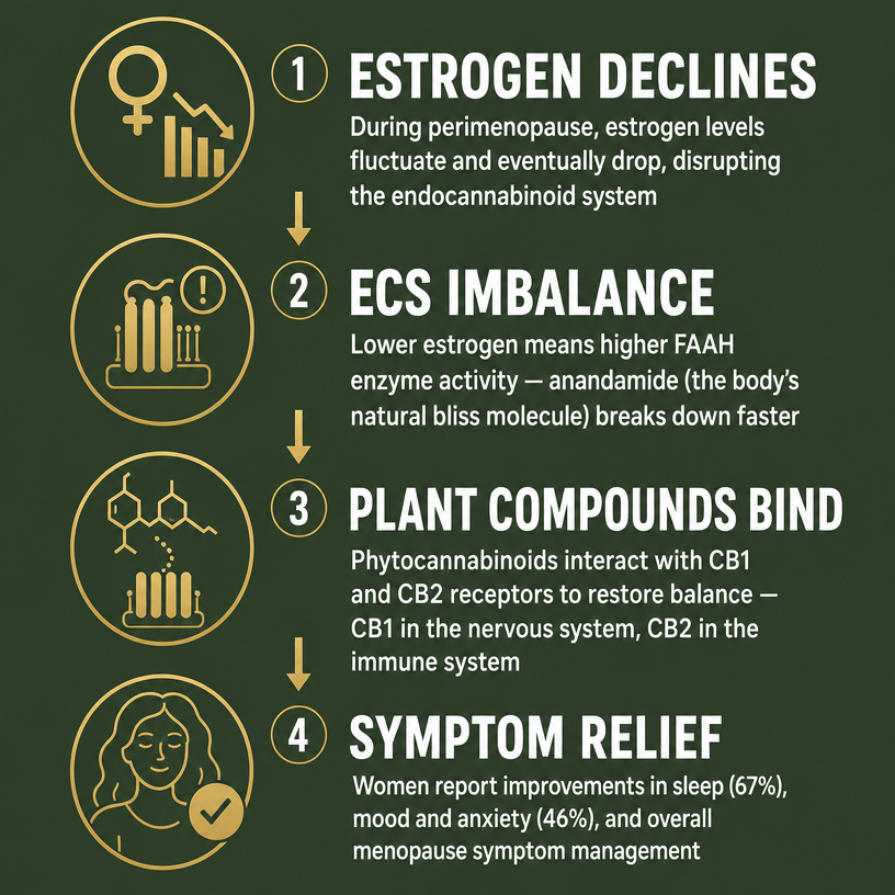 Infographic 1