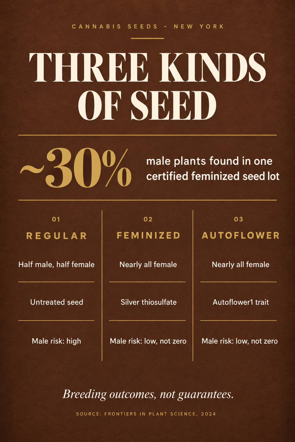 Infographic 1