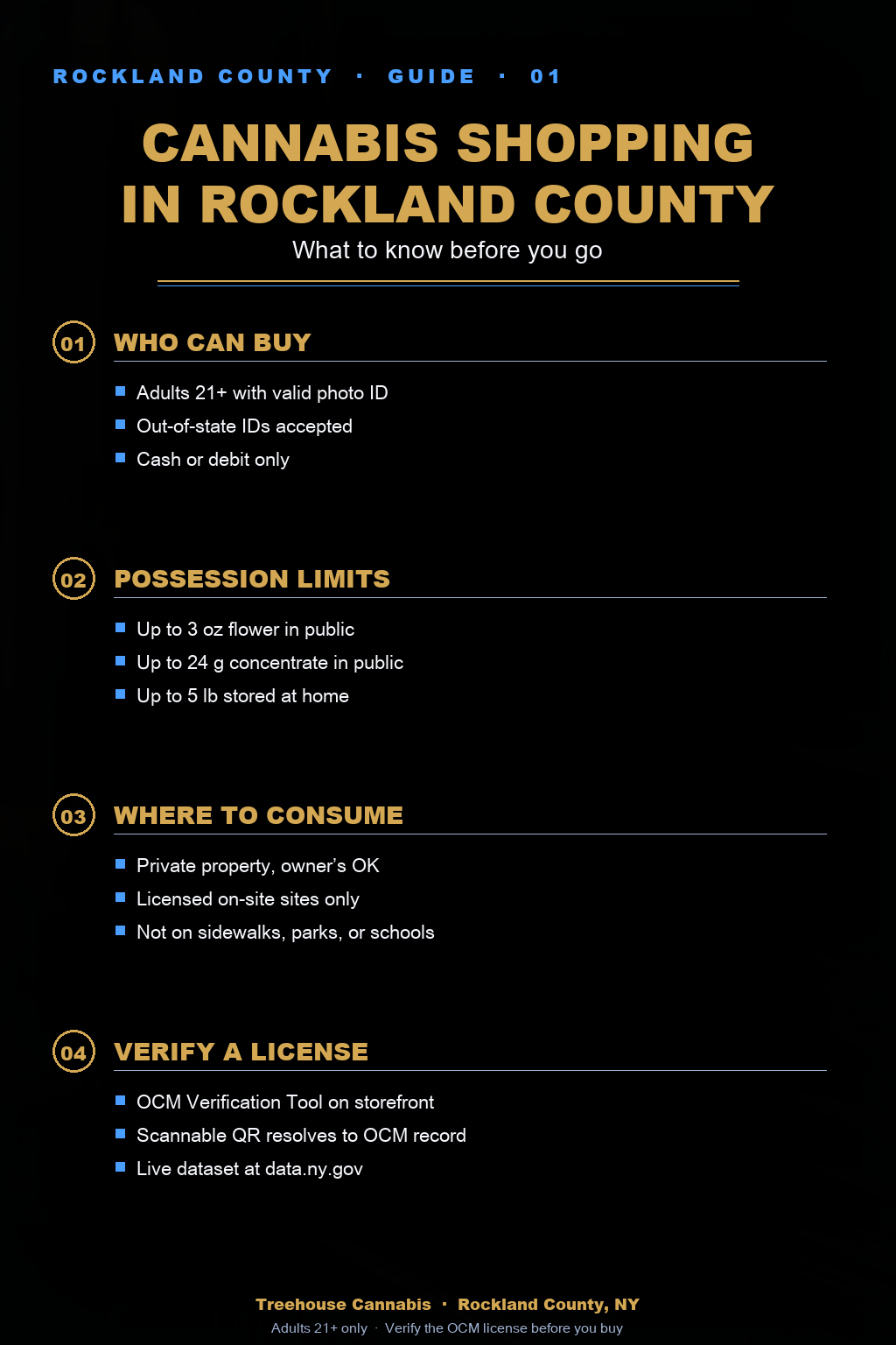 Infographic 1