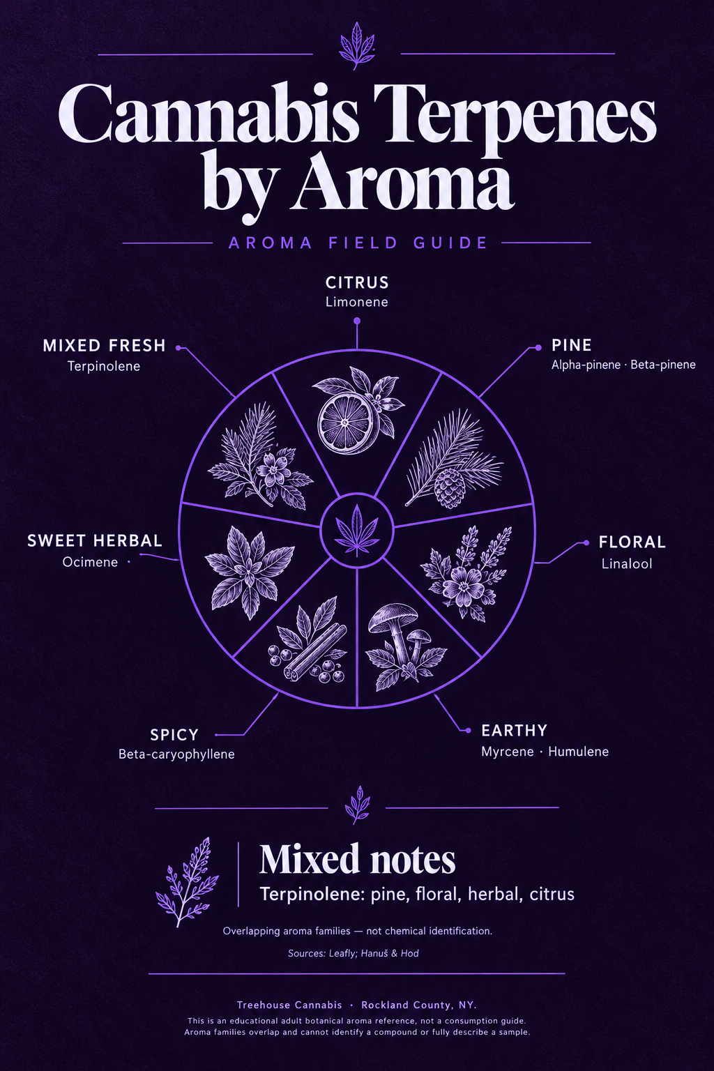 Infographic 1