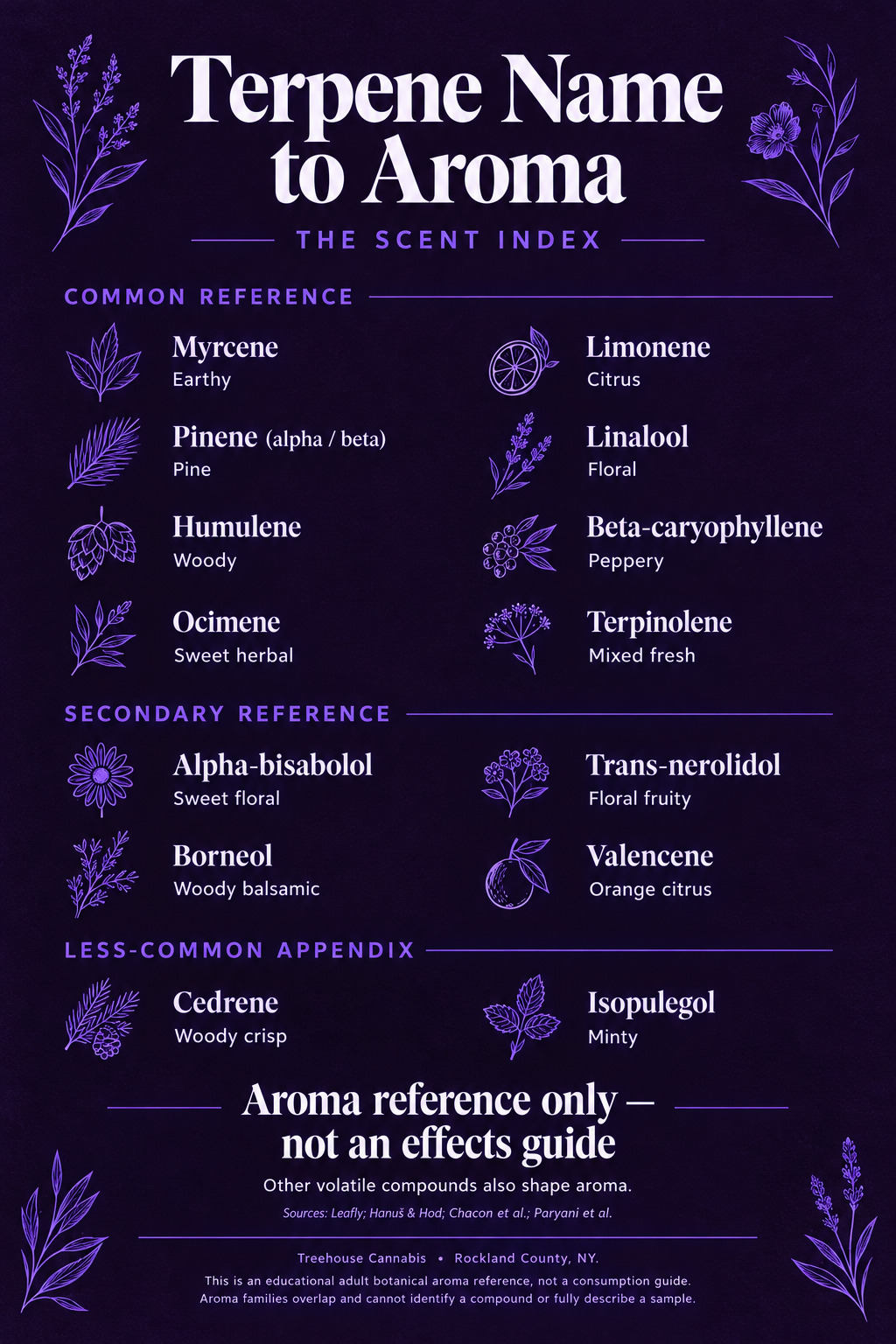 Infographic 2