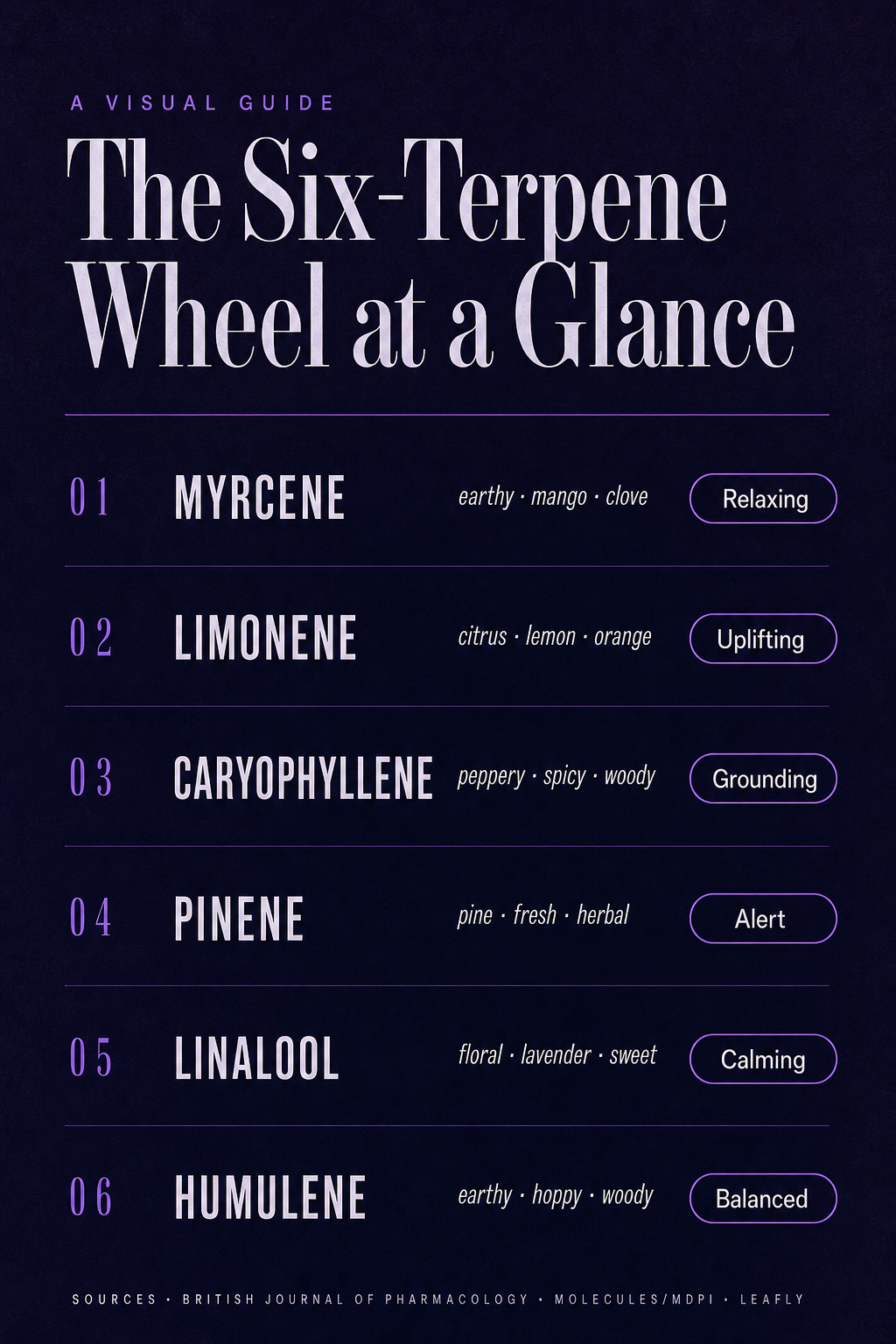Infographic 1