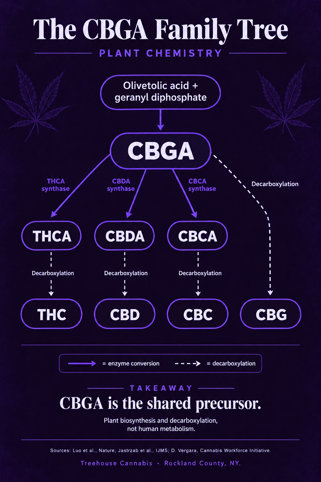 Infographic 1