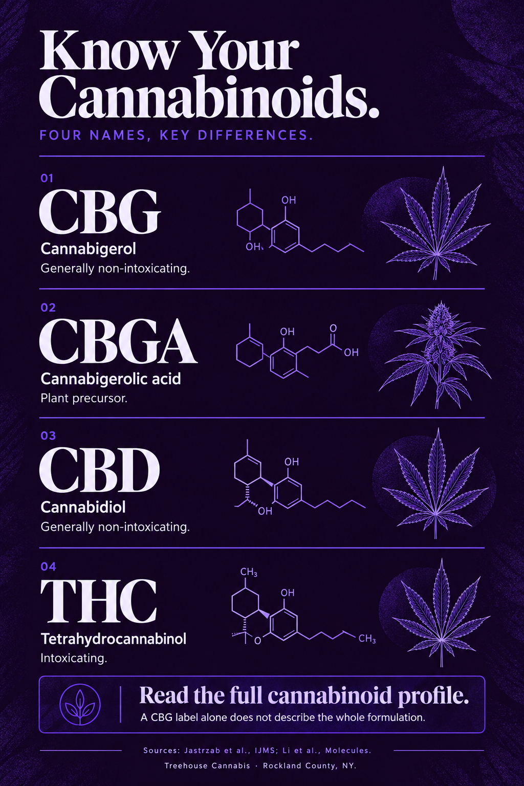 Infographic 2
