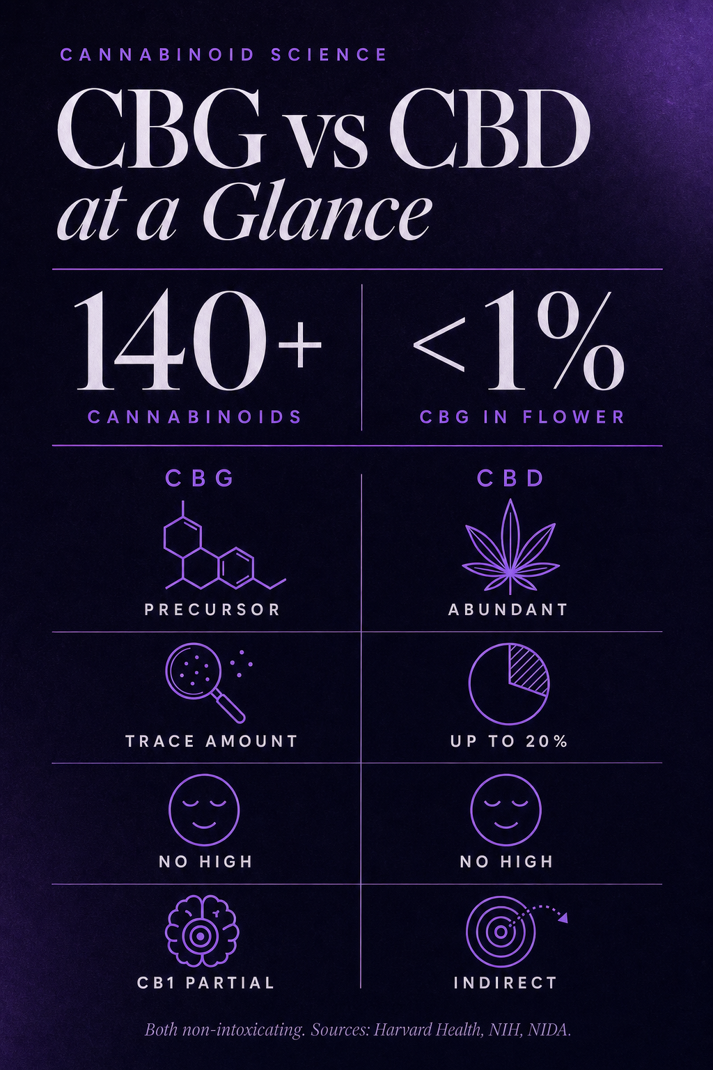 Infographic 1