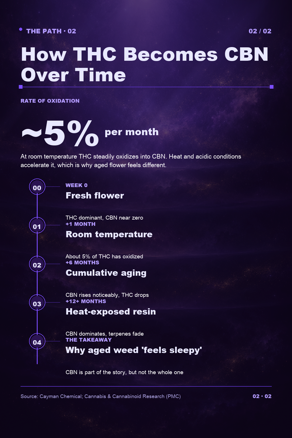 Infographic 2