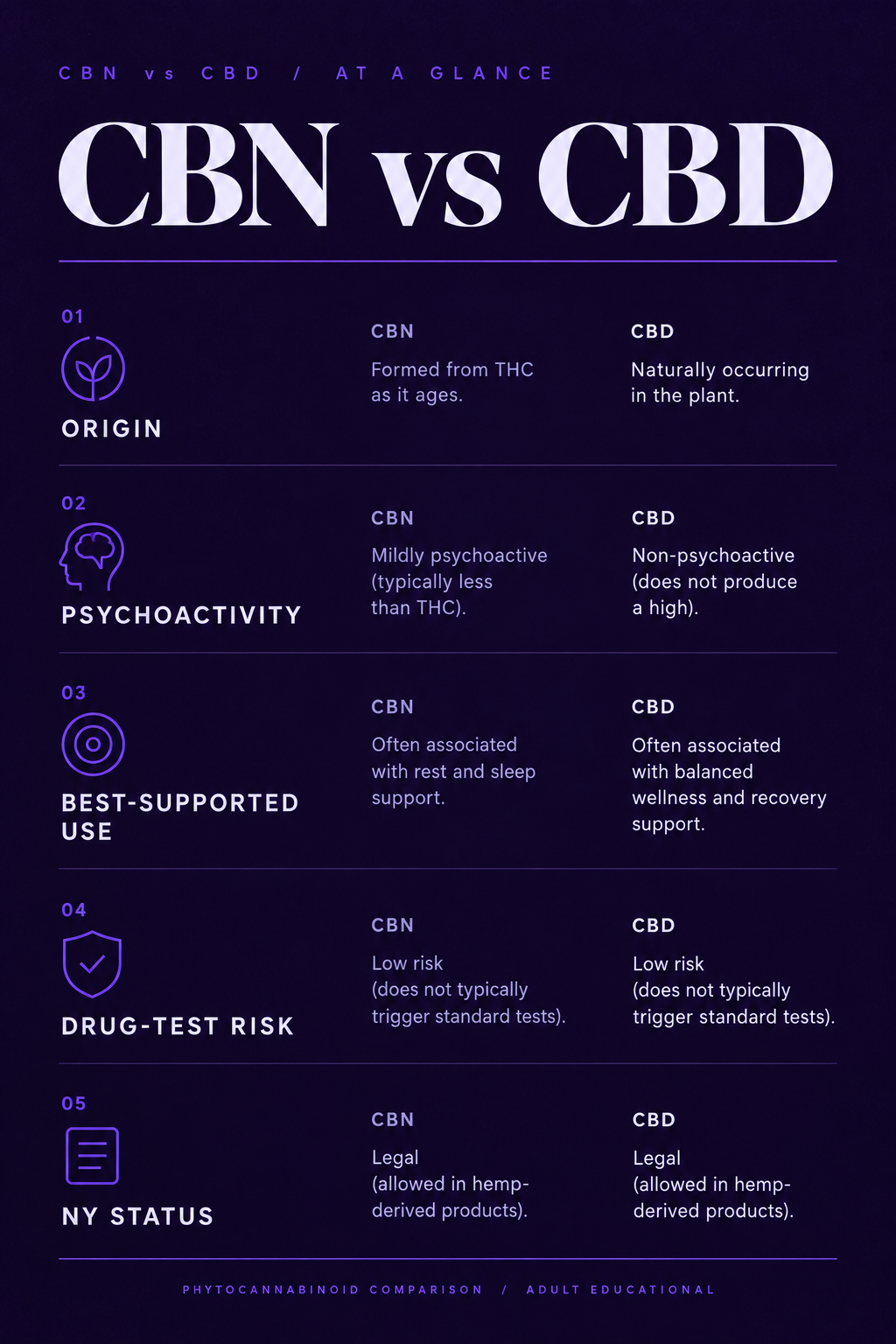 Infographic 1
