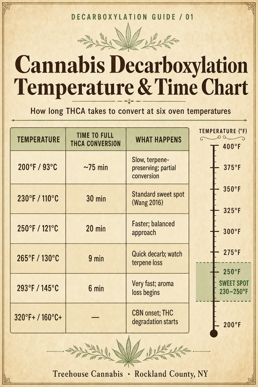 Infographic 1