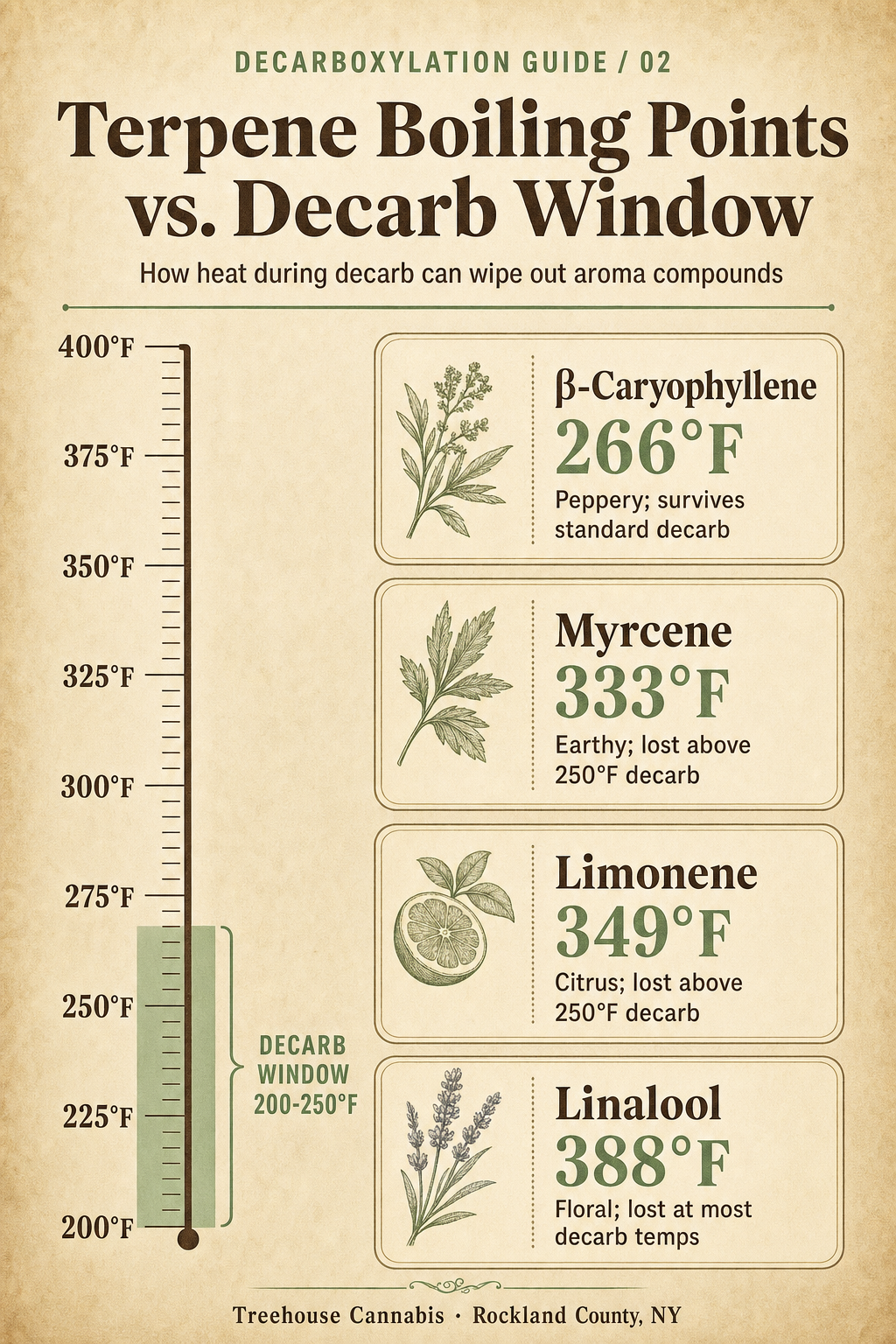 Infographic 2