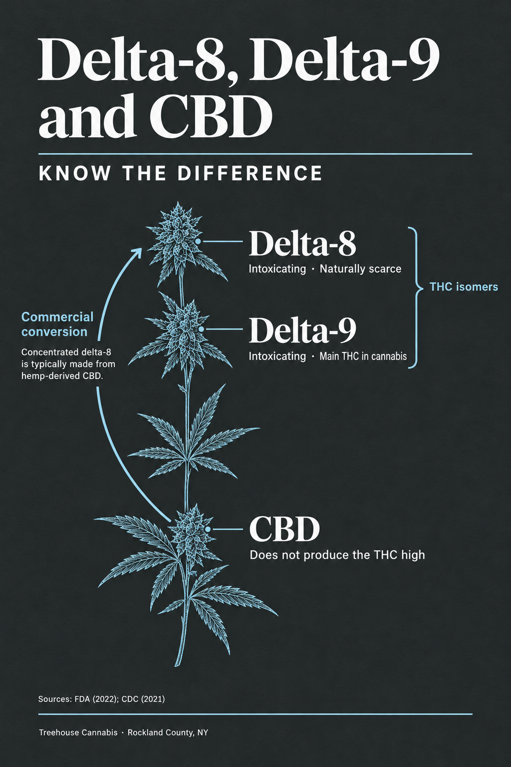 Infographic 1