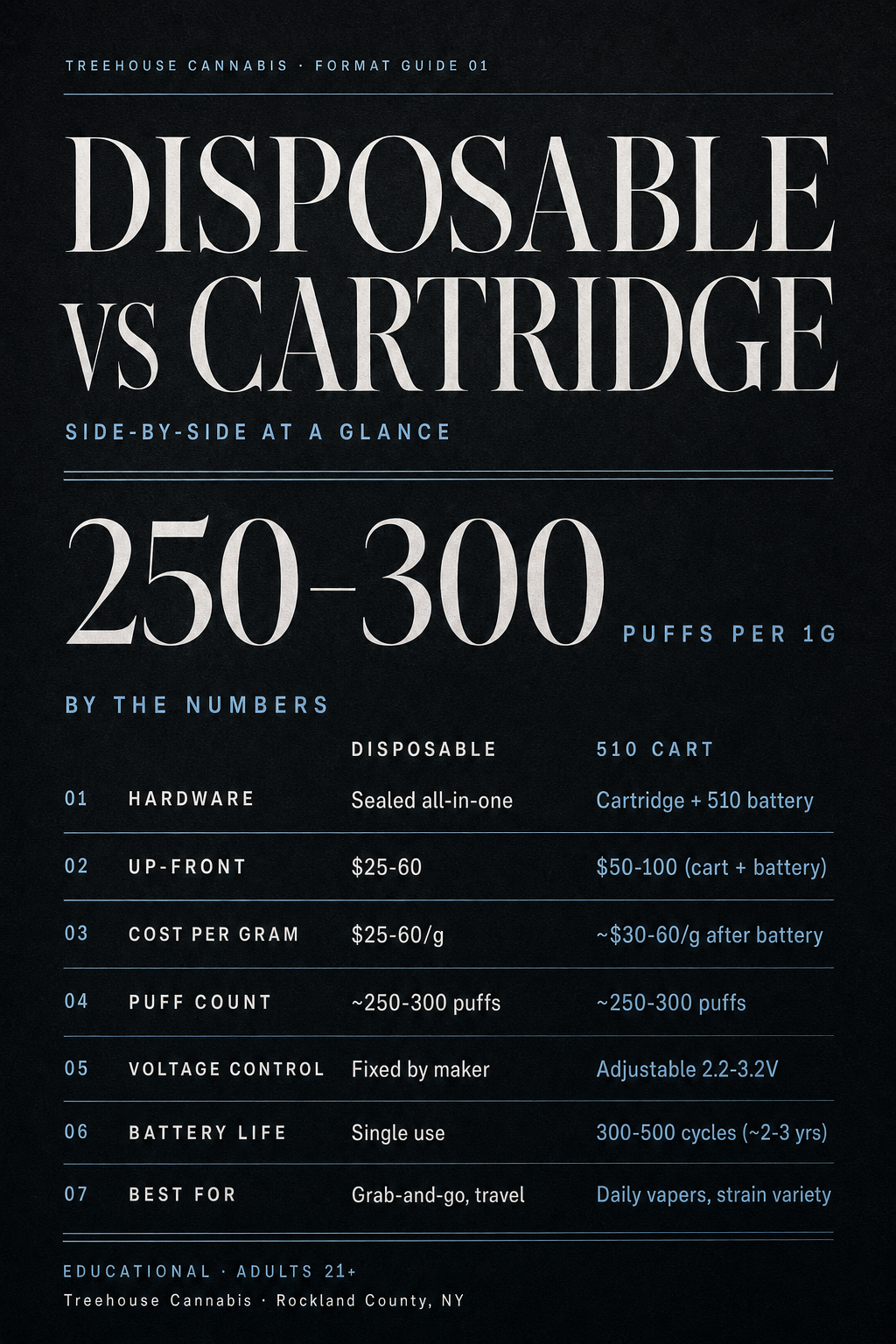 Infographic 1