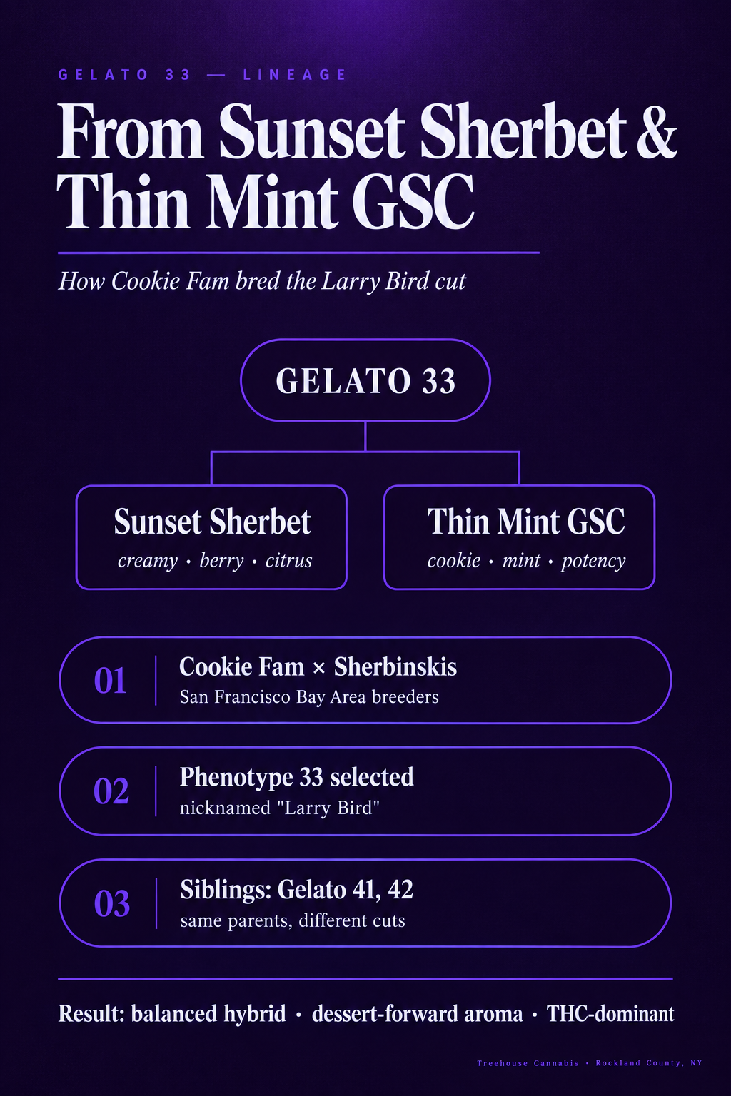 Infographic 1