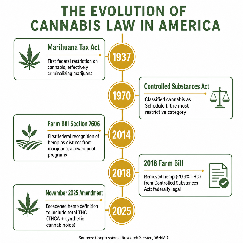 Infographic 2