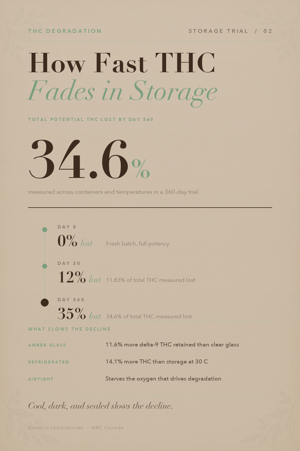 Infographic 2