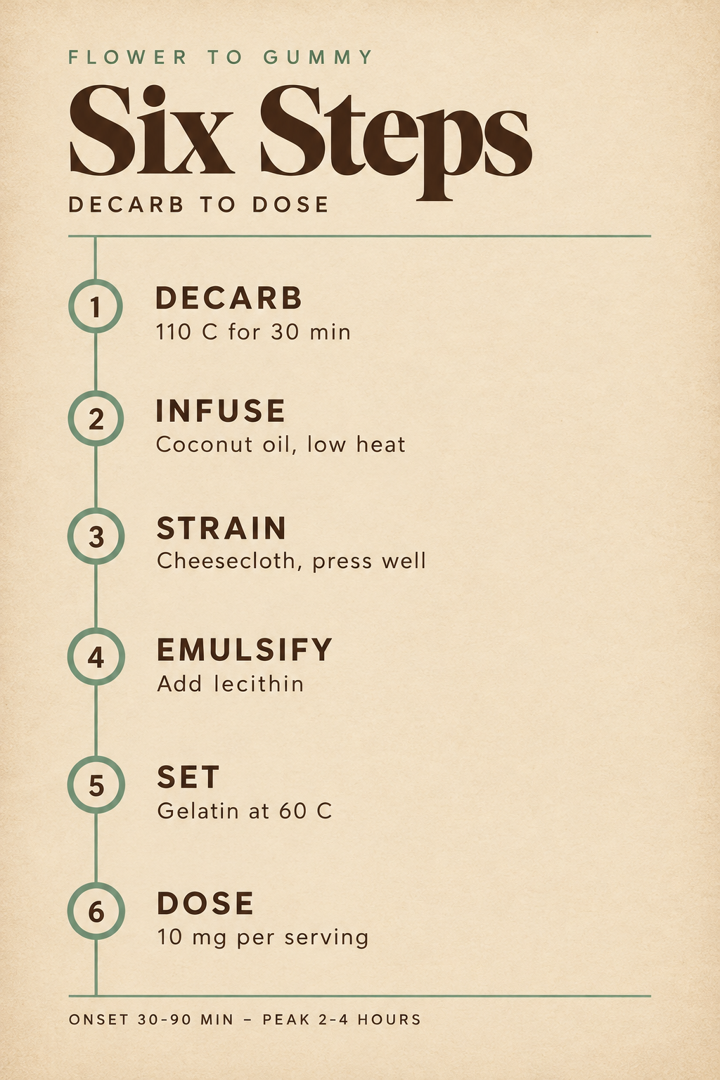 Infographic 2