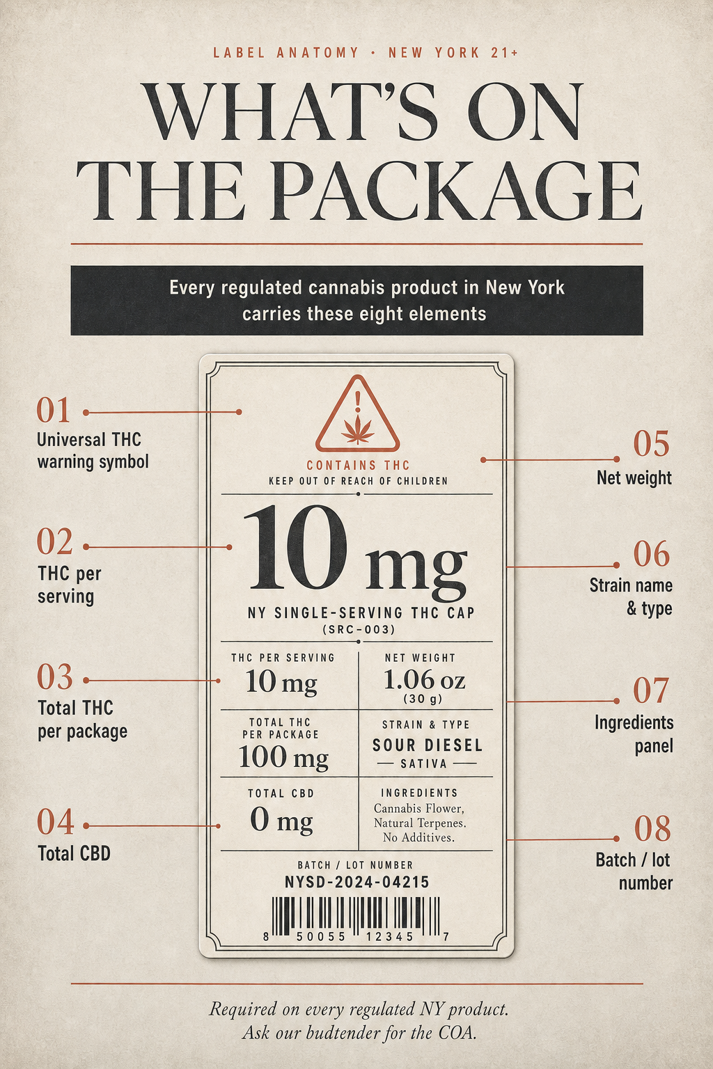 Infographic 2