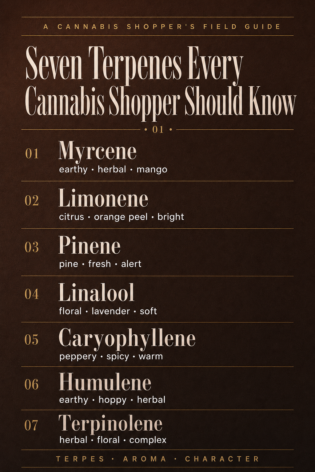 Infographic 1