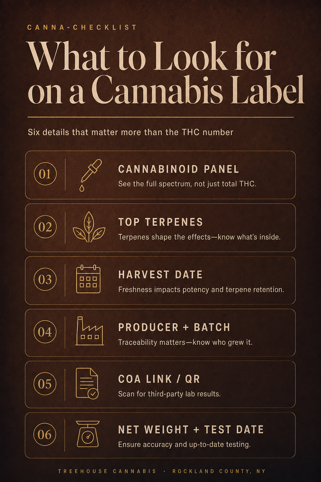 Infographic 1