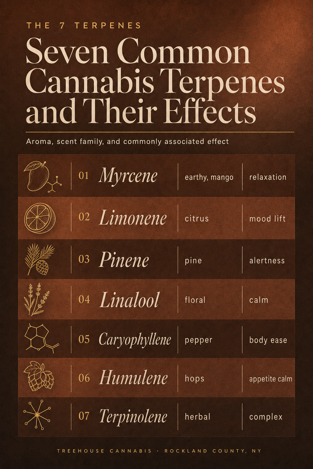 Infographic 2