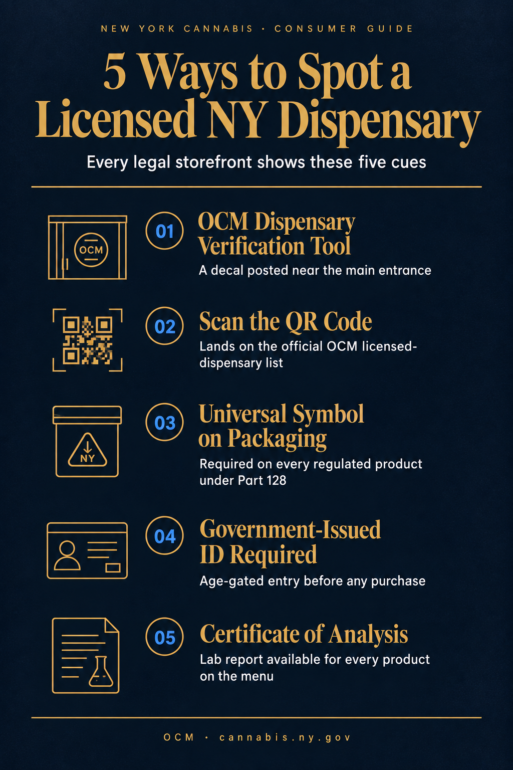 Infographic 1