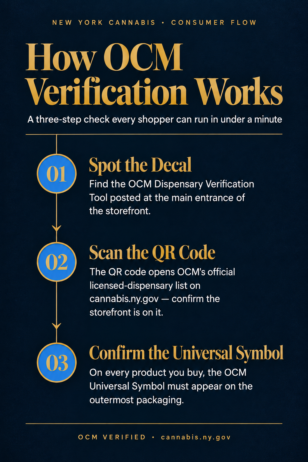 Infographic 2