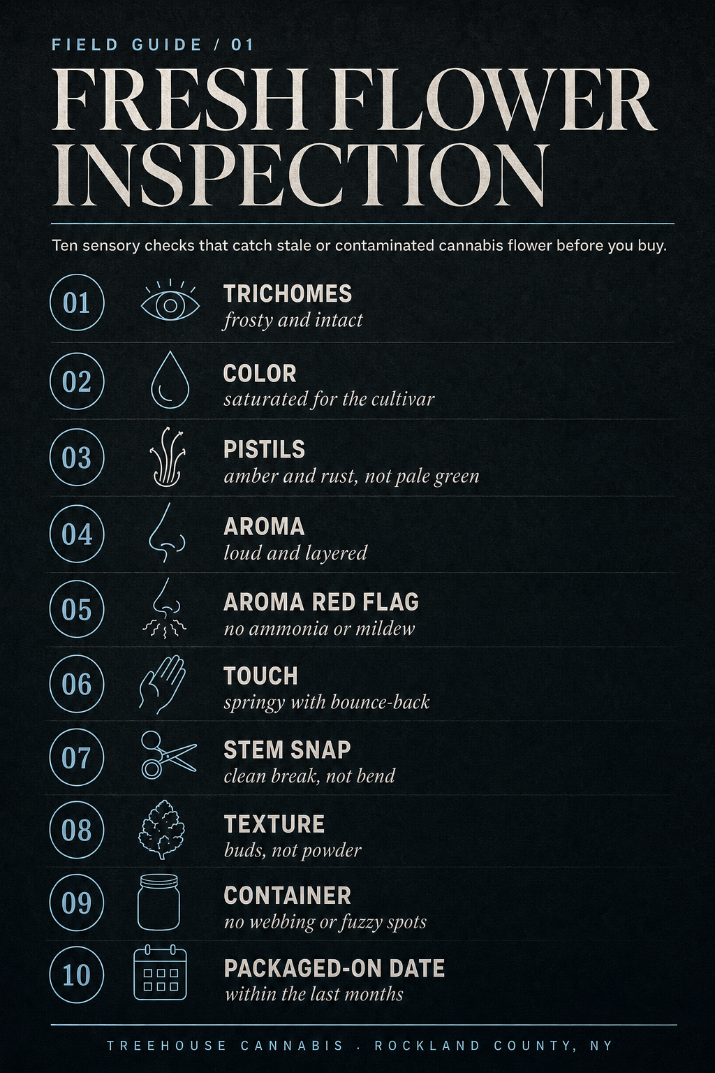 Infographic 1