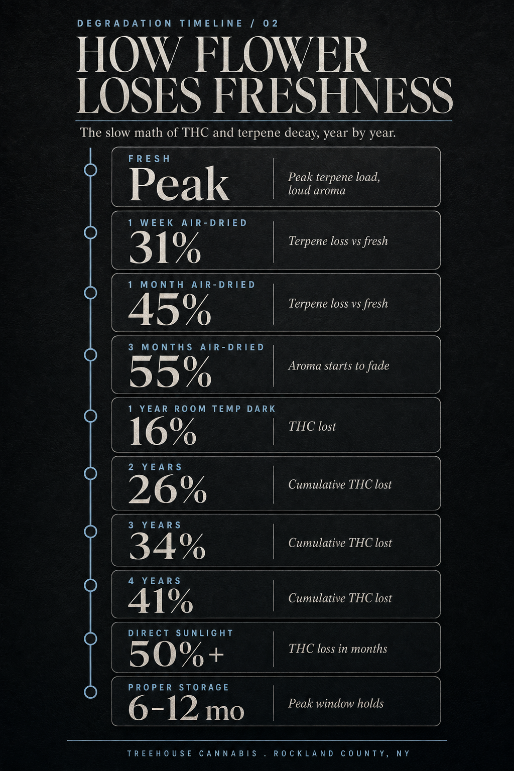 Infographic 2