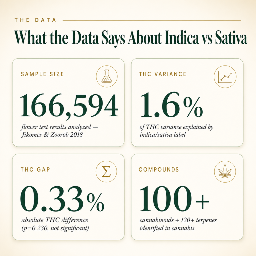Infographic 1