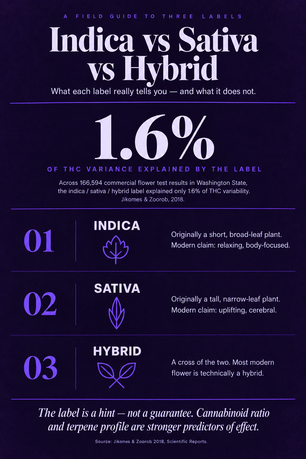 Infographic 1