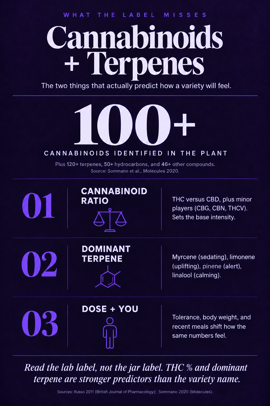 Infographic 2