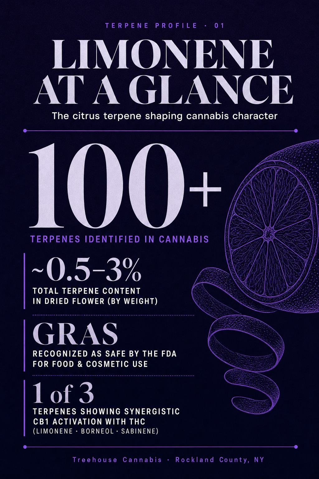 Infographic 1