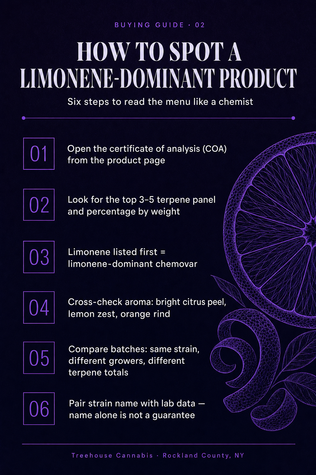 Infographic 2
