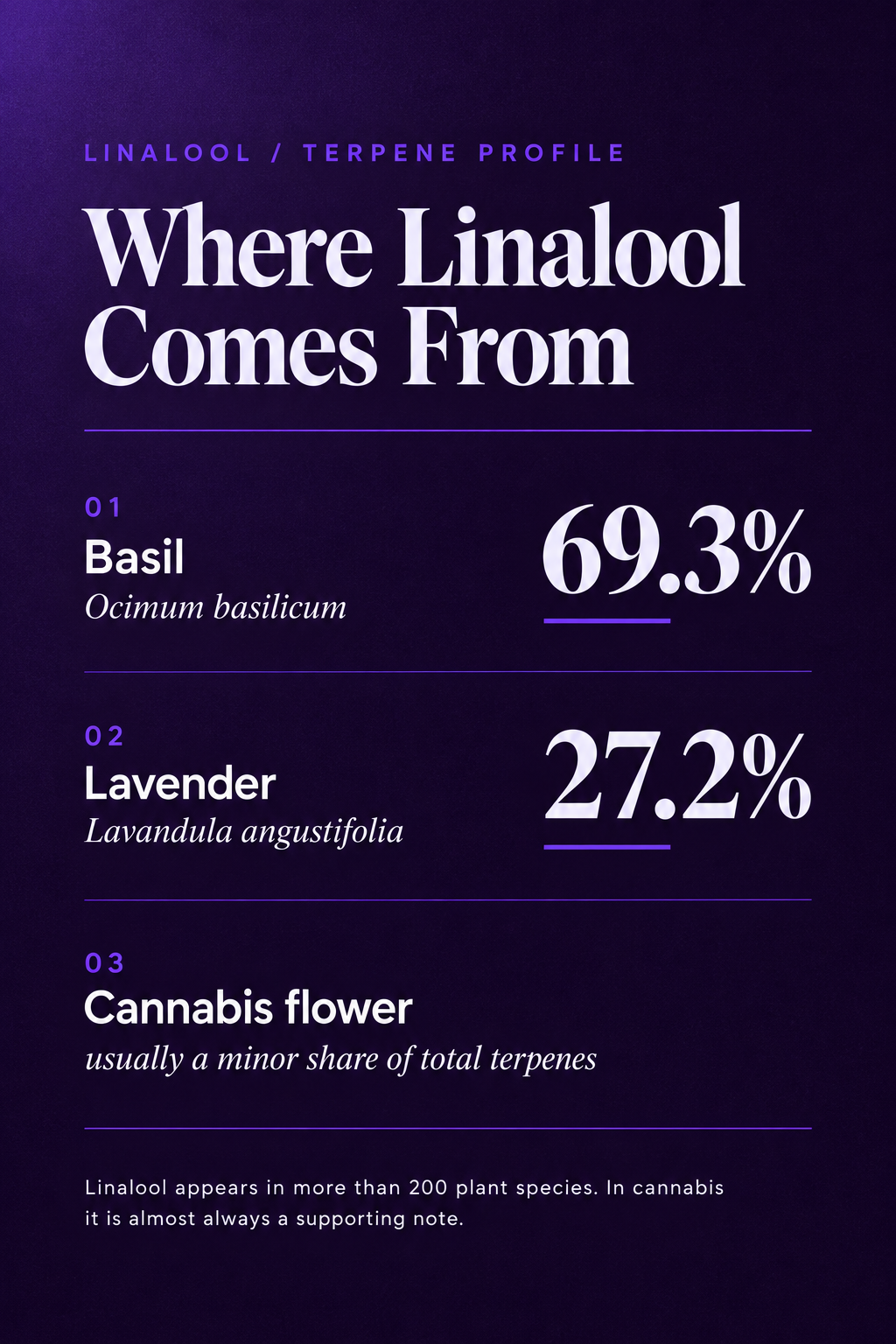 Infographic 1