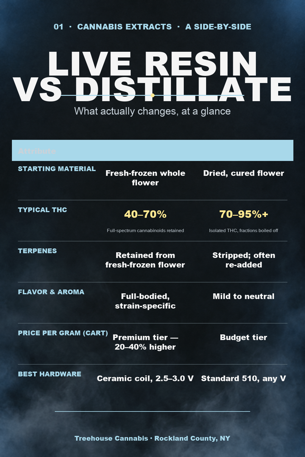 Infographic 1